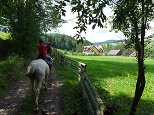 randonnée à cheval Pologne Basses-Carpates photo 3
