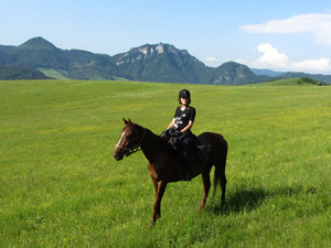 randonnée à cheval Pologne Basses-Carpates photo 5