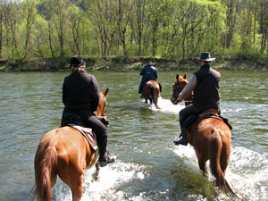 randonnée à cheval Pologne Basses-Carpates photo 2