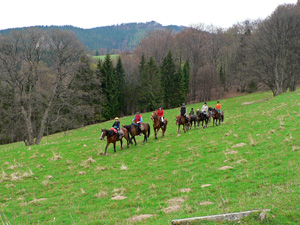 randonnée à cheval Pologne Basses-Carpates photo 4