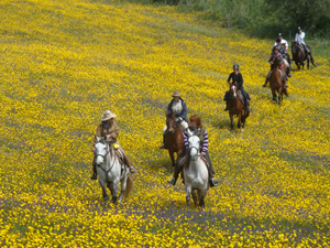 randonnée à cheval Portugal Alentejo photo 2