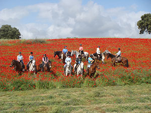 randonnée à cheval Portugal Alentejo photo 4