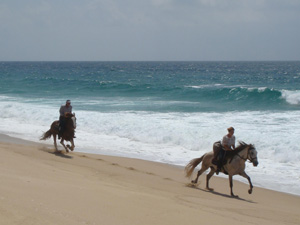 randonnée à cheval Portugal Alentejo photo 8