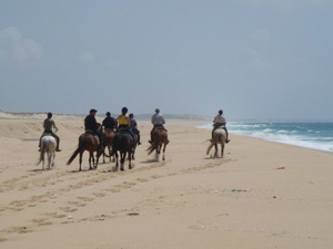 randonnée à cheval Portugal Alentejo photo 2