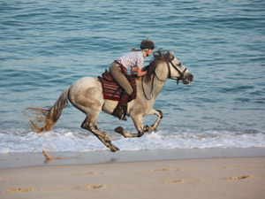 randonnée à cheval Portugal Alentejo photo 9