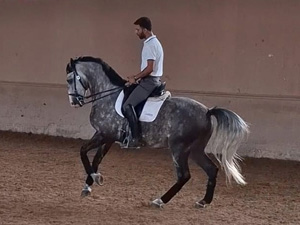 randonnée à cheval Portugal Nord photo 3