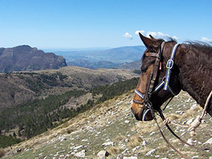 randonnée à cheval France Provence-Alpes photo 2