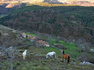 randonnée à cheval France Provence-Alpes photo 5