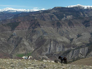 randonnée à cheval France Provence-Alpes photo 6