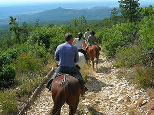 randonnée à cheval France Provence-Alpes photo 5