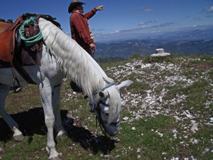 randonnée à cheval France Provence-Alpes photo 6