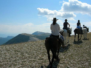 randonnée à cheval France Provence-Alpes photo 7