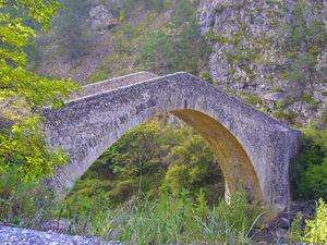 randonnée à cheval France Provence-Alpes photo 2