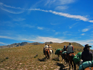 randonnée à cheval France Provence-Alpes photo 3