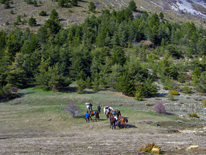 randonnée à cheval France Provence-Alpes photo 4