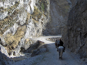 randonnée à cheval France Provence-Alpes photo 6