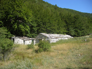 randonnée à cheval France Provence-Alpes photo 3