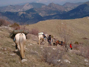 randonnée à cheval France Provence-Alpes photo 4
