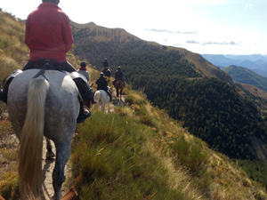 randonnée à cheval France Provence-Alpes photo 3