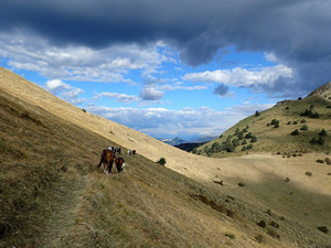 randonnée à cheval France Provence-Alpes photo 4