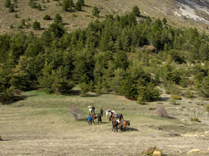 randonnée à cheval France Provence-Alpes photo 4