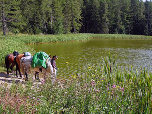 randonnée à cheval France Provence-Alpes photo 6