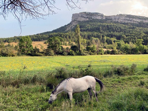 randonnée à cheval France Provence-Alpes photo 3