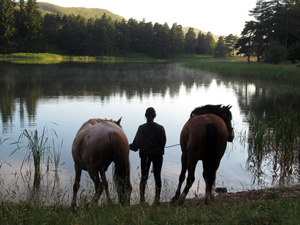 randonnée à cheval France Provence-Alpes photo 5