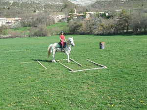 randonnée à cheval France Provence-Alpes photo 6