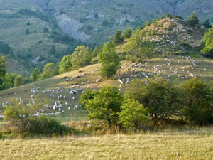 randonnée à cheval France Provence-Alpes photo 4