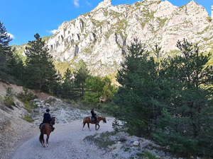 randonnée à cheval France Provence-Alpes photo 3