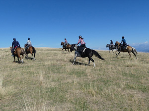 randonnée à cheval France Provence-Alpes photo 5