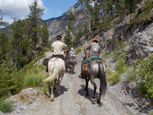 randonnée à cheval France Provence-Alpes photo 4