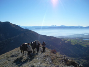 randonnée à cheval France Provence-Alpes photo 5