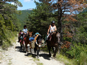 randonnée à cheval France Provence-Alpes photo 4
