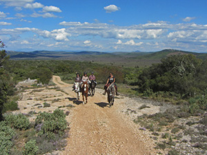 randonnée à cheval France Provence-Alpes photo 2