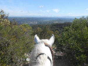 randonnée à cheval France Provence-Alpes photo 3