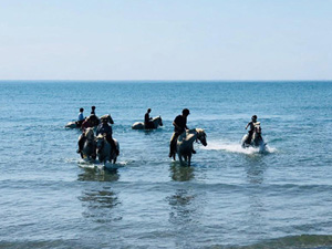 randonnée à cheval France Provence-Alpes photo 1