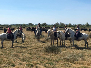 randonnée à cheval France Provence-Alpes photo 3