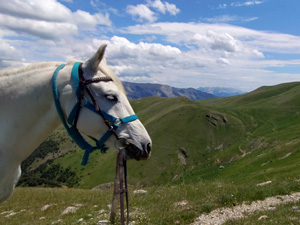 randonnée à cheval France Provence-Alpes photo 4