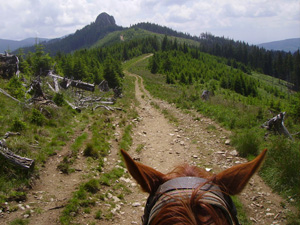 randonnée à cheval Roumanie Transylvanie photo 5