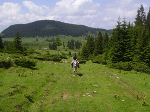 randonnée à cheval Roumanie Transylvanie photo 6