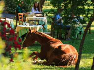 randonnée à cheval Italie Sardaigne photo 5