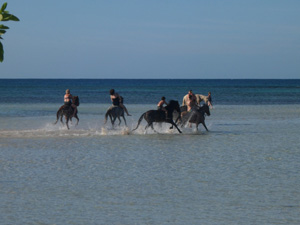randonnée à cheval Saint-Domingue Puerto Plata photo 1