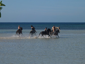 randonnée à cheval saint-domingue puerto plata la perle des caraïbes