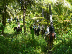 randonnée à cheval Saint-Domingue Puerto Plata photo 6