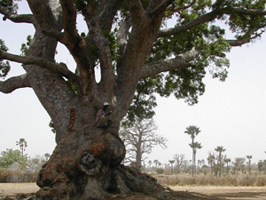 randonnée à cheval Sénégal Petite Côte photo 1