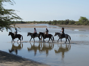 randonnée à cheval Sénégal Petite Côte photo 2