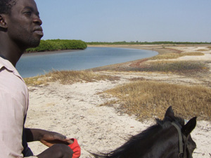 randonnée à cheval Sénégal Petite Côte photo 3