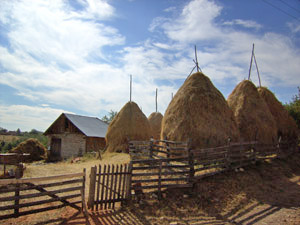 randonnée à cheval Serbie Sumadija photo 3